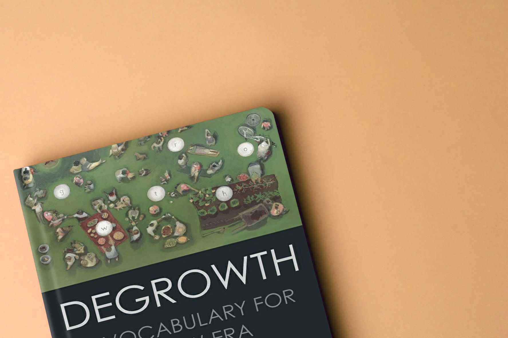 Dutch summary of the book "degrowth"